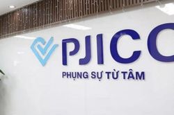Bảo hiểm PJICO trả cổ tức năm 2025, tỷ lệ 12%