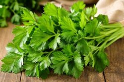 Lá cần tây - bộ phận thường bị bỏ đi khi nấu ăn lại là bài thuốc tốt cho gan và tiêu hóa