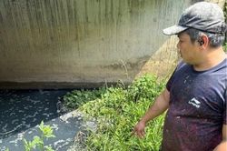 Phát hiện công ty chế biến mủ cao su xả thải trái phép