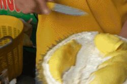 Sầu riêng giá rẻ 'đổ bộ' TPHCM, cửa hàng bán cả tấn mỗi ngày