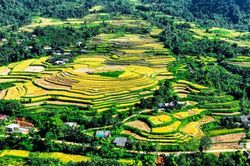 Khám phá 2 địa điểm du lịch ấn tượng tại Thái Nguyên mùa Hè này
