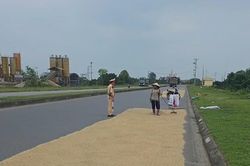 Lái xe qua đường phơi đầy thóc lúa, rơm rạ mùa gặt, tài xế cần lưu ý gì?