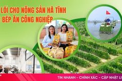 Bài 2: Tái cấu trúc sản xuất, hoàn thiện chuỗi cung ứng