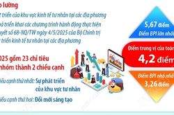 Kết quả Chỉ số Hiệu quả Kinh tế tư nhân năm 2025 của 34 địa phương