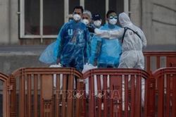 Virus Hanta: EU tăng cường chia sẻ thông tin nhằm nâng cao hiệu quả ứng phó