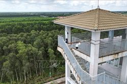 Cà Mau sử dụng 'mắt thần' giữ rừng an toàn qua mùa khô hạn
