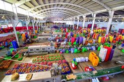 Thanh long Lâm Đồng trước 'cuộc sát hạch' khốc liệt của thị trường toàn cầu