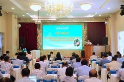 Thanh long Lâm Đồng trước 'cuộc sát hạch' khốc liệt của thị trường toàn cầu