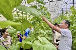 Số hóa nông nghiệp mở lối cho nông sản xứ Thanh bứt phá