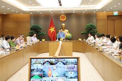 Siết công tác quản lý mã số vùng trồng, kiểm nghiệm nông sản xuất khẩu