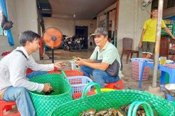 Cua biển giá cao, hút hàng