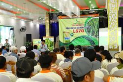 Hội thảo đầu bờ đánh giá giống lúa thuần LS70