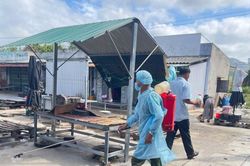 Triển khai phòng, chống dịch bệnh tại 24 xã, phường