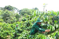 'Thực túc, binh cường' ở biên giới
