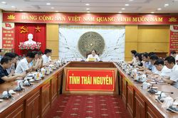 Xây dựng kế hoạch quản lý trật tự đô thị áp dụng trên toàn tỉnh