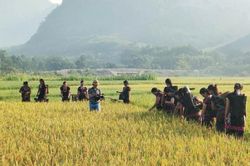 Đánh thức tiềm năng du lịch miền núi bằng bản sắc riêng