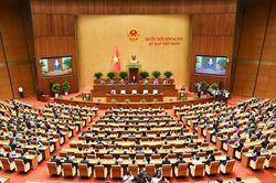Tiếp tục quan t&acirc;m giải quyết, trả lời kiến nghị của cử tri