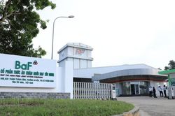 BAF Việt Nam (BAF) mua 25% vốn Hùng Phát Farm Một, lợi nhuận quý I/2026 tăng 54%