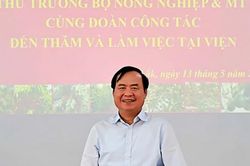 Nghiên cứu khoa học của WASI cần gắn chặt với nhu cầu thị trường