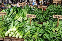 5 loại rau nên ăn trước bữa chính để giảm cân hiệu quả