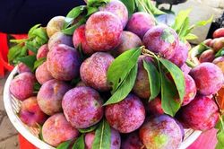 Lý do quả mận là 'siêu thực phẩm' tốt cho da và tóc