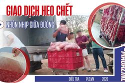 Điều tra: Thịt bẩn luồn lách đến bữa ăn - Kỳ 3: Thịt heo chết vào lò lạp xưởng
