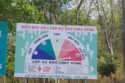 TPHCM: Cảnh báo cháy rừng ở cấp cao nhất - cực kỳ nguy hiểm