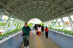 Người dân chỉ được sử dụng cầu bộ hành khi đi metro số 1?