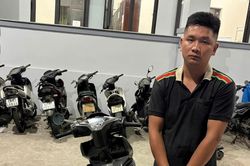 Bắt đối tượng trộm gần 40 triệu đồng trong 2 con heo đất