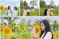 Ngôi trường vùng biển Hà Tĩnh ngập tràn sắc vàng hoa hướng dương