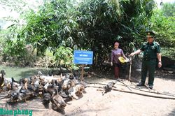 Những con giống tạo sinh kế bền vững nơi biên giới Ea Bung