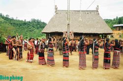 Lễ hội khai năm tạ ơn rừng của đồng bào Cơ Tu: Cách giữ rừng từ tâm thức