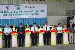 Xây dựng cơ chế chứng nhận 'Gạo Việt xanh phát thải thấp'