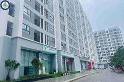Nhà ở xã hội tại phường Trần Hưng Đạo (Hưng Yên) có giá từ 18,5 triệu đồng/m²