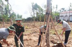 Cà Mau phát động 'Tết trồng cây đời đời nhớ ơn Bác Hồ'
