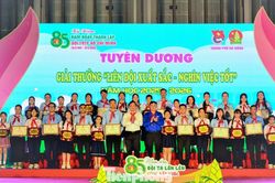 Đà Nẵng khen thưởng các tập thể, cá nhân xuất sắc trong công tác Đội