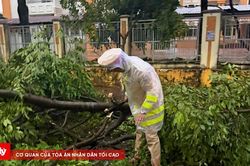 Lốc xoáy càn quét, nhà tốc mái, cây bật gốc ngổn ngang ở Đắk Lắk