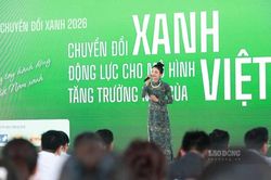 Chuyển đổi xanh - Động lực cho mô hình tăng trưởng mới của Việt Nam
