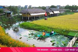 Khám phá 'hồn quê' giữa lòng phố thị