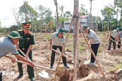 Cà Mau cụ thể hóa mục tiêu trồng hơn 1 triệu cây xanh ứng phó biến đổi khí hậu