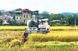 Xã Hòa An tăng tốc cơ giới hóa nông nghiệp, nông dân nhàn hơn, năng suất tăng mạnh