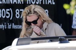 Britney Spears xuất hiện tại cửa hàng thú cưng giữa lúc vướng tin đồn mất kiểm soát