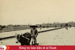 Tư liệu quý từ Mỹ hé lộ diện mạo Thanh Hóa hơn 80 năm trước