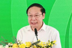 Thứ trưởng Lê Công Thành: Sẽ có tiêu chí ngăn tình trạng 'xanh hóa hình thức'