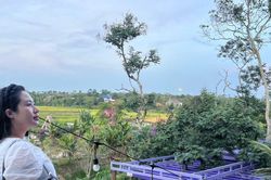 Đắk Lắk: Trải nghiệm cắm trại mùa hè tìm lại sự cân bằng tại Băng Tuyền Farmstay