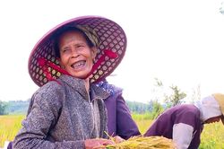Mùa vàng no ấm nơi vùng biên giới Hướng Lập