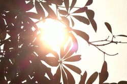 Nắng nóng ở cả 3 miền, nhiều nơi chiều tối mưa dông