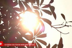 Nắng nóng ở cả 3 miền, nhiều nơi chiều tối mưa dông