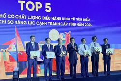 Phú Thọ lọt Top 5 địa phương có chất lượng điều hành xuất sắc nhất