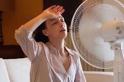 Quạt thổi toàn hơi nóng giữa mùa hè? Thử ngay 2 mẹo đơn giản này, gió mát dễ chịu chẳng kém điều hòa